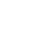 Seizure & Epilepsy Care Management