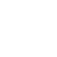 Memory & Cognitive Assessments